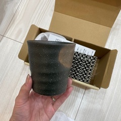湯のみセット