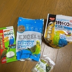 決まりました♡セキセイインコセット♡