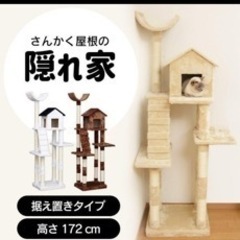 キャットタワー　未使用
