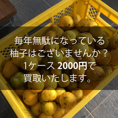 お庭や畑で無駄になっている柚子を買取いたしますの画像