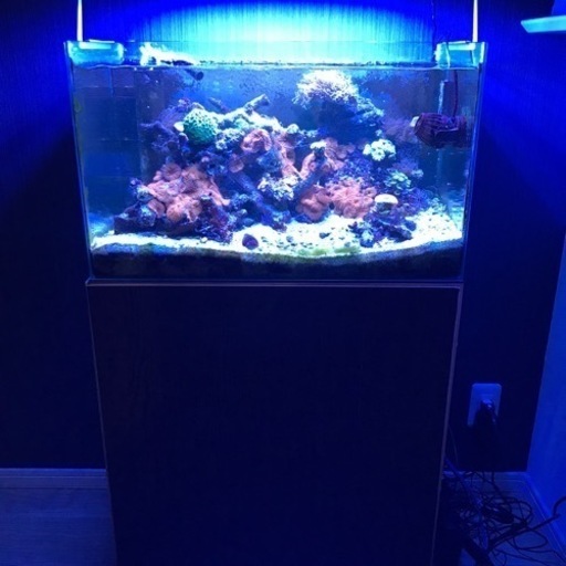 オーバーフロー水槽セット　60センチ