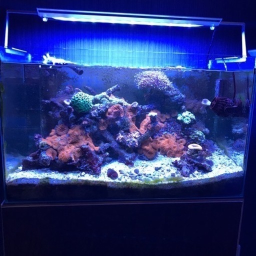 オーバーフロー水槽セット　60センチ