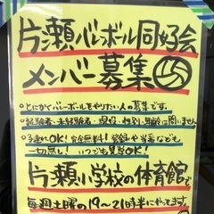 バレーボール メンバー募集！