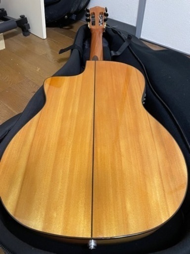 楽器 Cordoba GK Studio