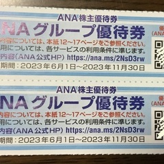 ANAグループ優待券2枚セット