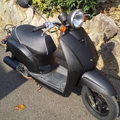 原付、ホンダトディー50、実働