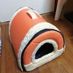 今、届いたばかりです！の画像