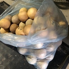 軟式ボール　90個