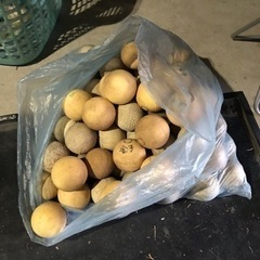 軟式ボール　90個の画像