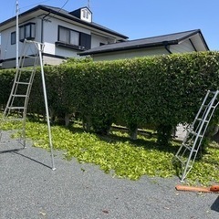 植木剪定、草刈り、伐採、植栽、防草対策、砂敷き、砂利敷き、など！ - 熊本市