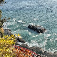 旅をする - メンバー募集