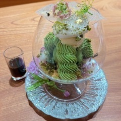 抹茶 - メンバー募集