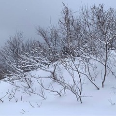 旭川市内！どこでも！除雪致します！