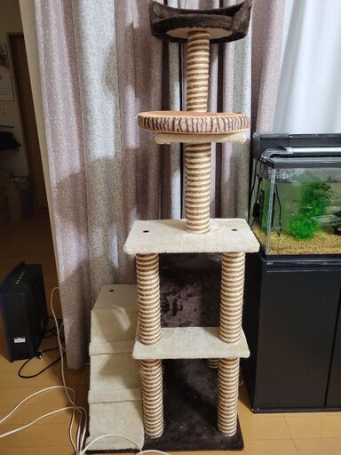 相手決まりました。キャットタワー