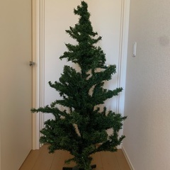 クリスマスツリー