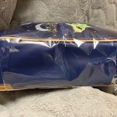 ポケモン　ブイズ　プレミアムハンドバッグ　新品未使用　プライズ品の画像