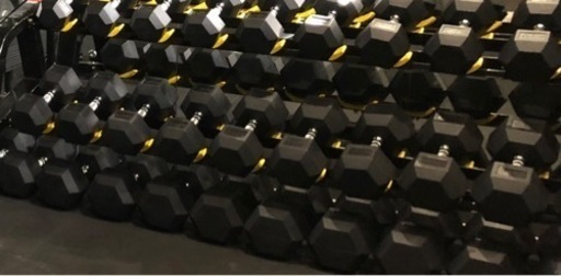 ダンベル　セット　12.5㎏〜50㎏　16ペア　ラック付き