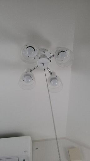 LED 照明 4灯 シーリング ライト 天井 照明 ランプ スポット ホワイト 白