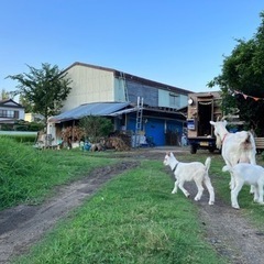 防府市　農園　メンバー募集