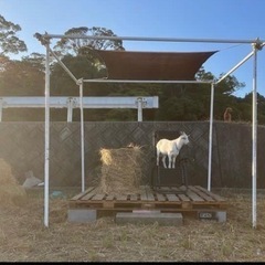 防府市　牧場キャンプ場