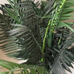 フェイカ インテリア 無料の画像