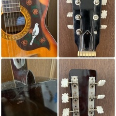 アコースティックギター②の画像