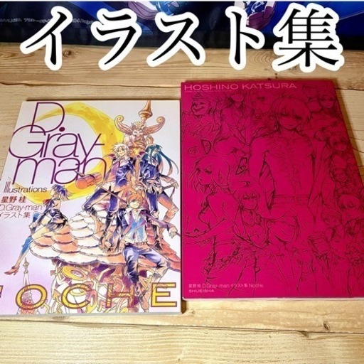 D.Gray-man 単行本小説全巻 ファンブック イラスト集 特典多数