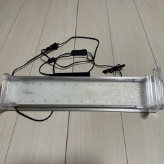【期間限定】【高級水槽】ADAキューブガーデンの画像