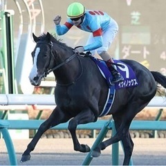 競馬友達募集！