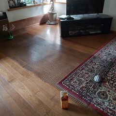 プラスチック製ネット 約1×3ｍ 網目2×2cm《即購入OK》【未使用】の画像