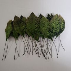 リース台（丸）と　アートフラワー用リーフ（30枚）の画像