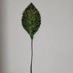 リース台（丸）と　アートフラワー用リーフ（30枚）の画像