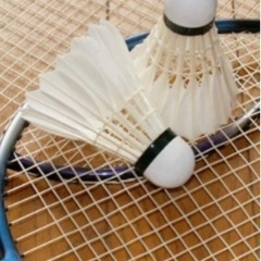 12月3日OIDEYASU plusスポーツの日開催🏸🏐🏀