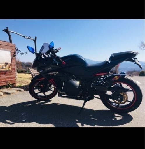 カワサキ ninja 250R