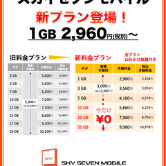 審査なし 携帯電話 ★2,960円1GB（税込3256円）★新プ...