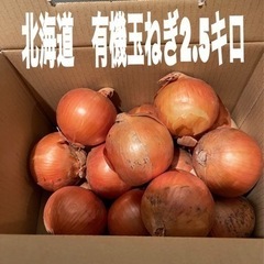 ★北海道　有機たまねぎ2.5kg★