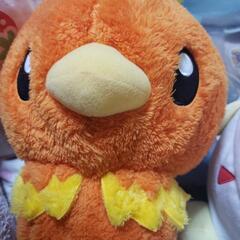 おもちゃ ポケモンぬいぐるみ 