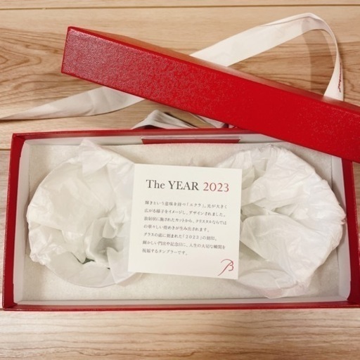 新品未使用 バカラ 2023 限定 エクラ ペアタンブラー グラス