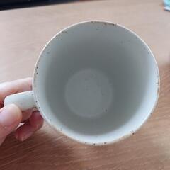 カップ(お花)の画像