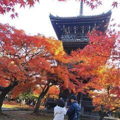 京都シングル４５才から５９才友達 - 京都市