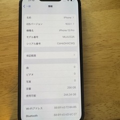 iPhone 13 Pro シエラブルー 256 GB SIMフリー