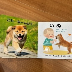 どうぶつえほんの画像