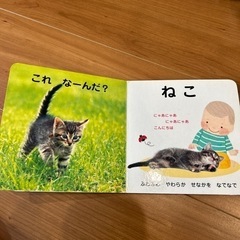 どうぶつえほんの画像