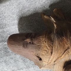 木彫り、彫刻の画像