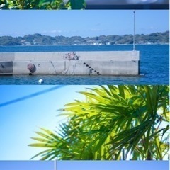 フォトウォークしましょう📷