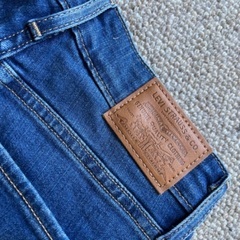 Levi's リーバイス カラー Bogota Fun2007141の画像