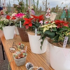 諏訪神社花市（12/10）