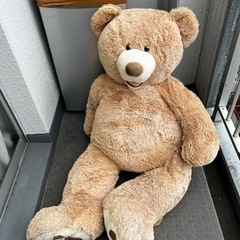 コストコ くまさん 