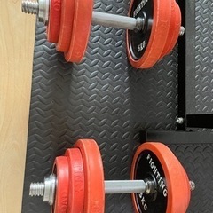 フラットベンチ及びバーベル、ダンベルセット