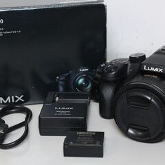 【ジャンク品】Panasonic/Lumix DMC-FZ100...